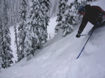 Best Untracked Powder